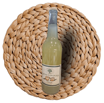 Produktbild Garten-Limonade Orange